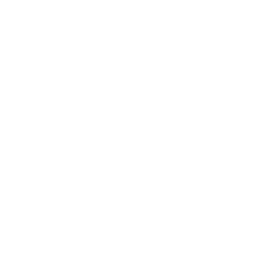bulb